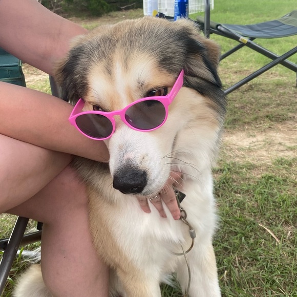 HIT THAT OFFER BUTTON!! ITEMS MUST GO!! - Picture 2 of 5